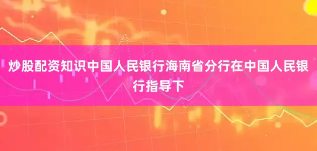 炒股配资知识中国人民银行海南省分行在中国人民银行指导下