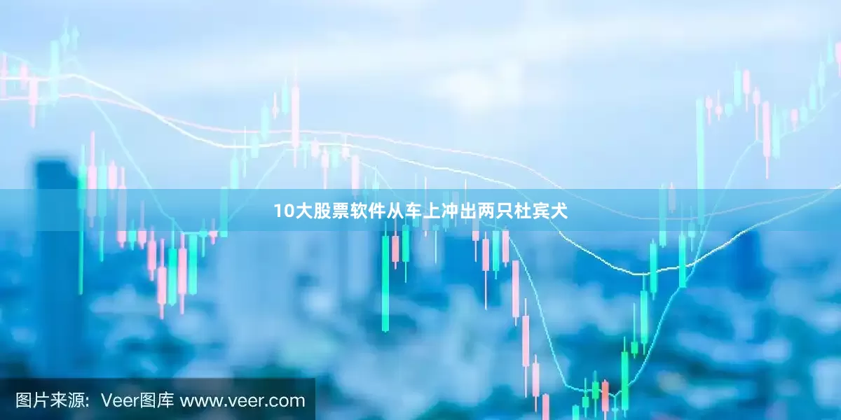 10大股票软件从车上冲出两只杜宾犬